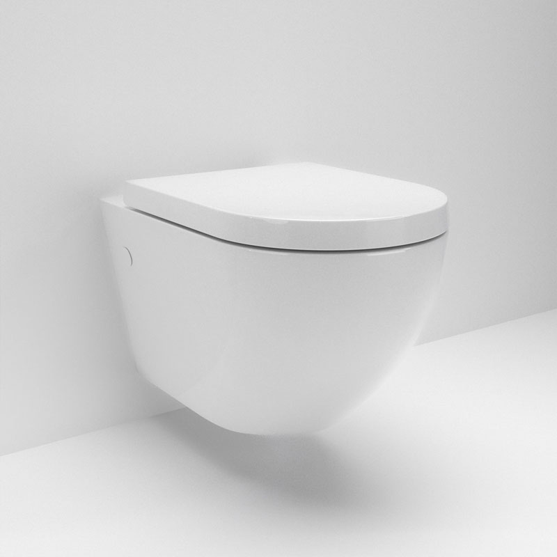 Wall Hung Toilet Bowl